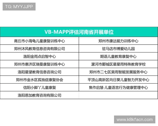 详细解读K8电子评级体系中的评分标准与评估流程帮助玩家做出明智选择